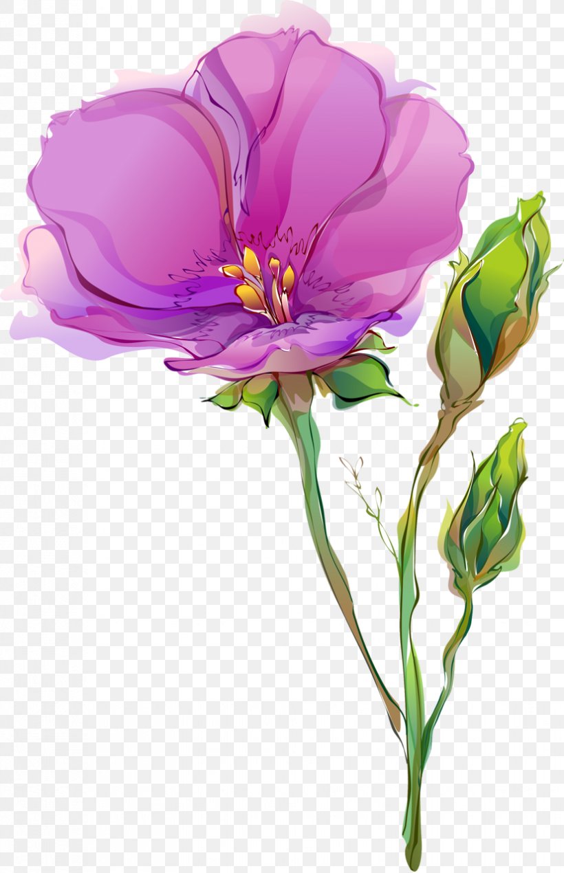 Cut Flowers Tulip Drawing Poppy, PNG, 826x1280px, Flower, Branch, Cut Flowers, Drawing, Floral Design Download Free