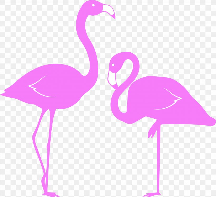 Flamingo, PNG, 3844x3496px, Bird, Beak, Flamingo, Greater Flamingo, Pink Download Free