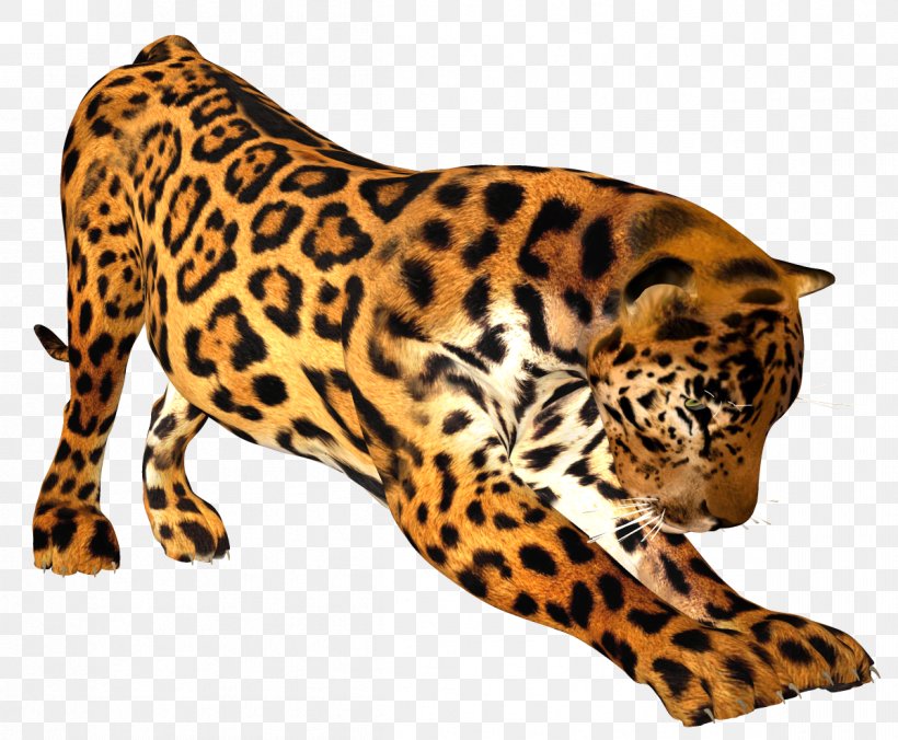 Leopard Felidae Tiger Lion Cheetah, PNG, 1199x989px, Leopard, Animal, Animal Figure, Big Cats, Carnivoran Download Free