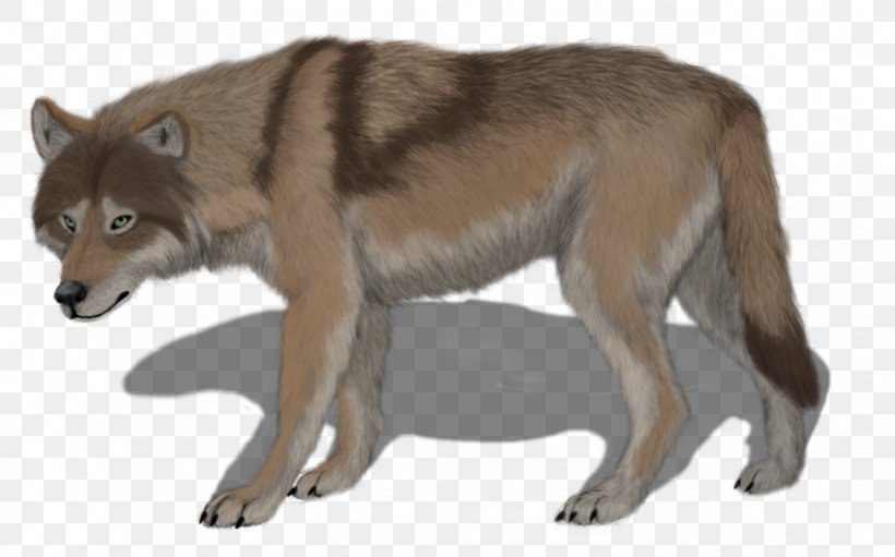 Saarloos Wolfdog Czechoslovakian Wolfdog Coyote Alaskan Tundra Wolf Red Wolf, PNG, 1132x706px, Saarloos Wolfdog, Alaskan Tundra Wolf, Animal, Canis, Canis Lupus Tundrarum Download Free