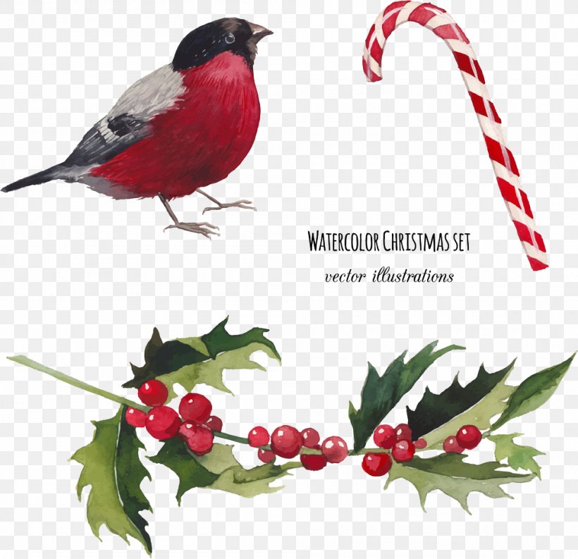 Watercolor Painting Christmas Illustration, PNG, 1000x968px, Watercolor Painting, Aquifoliaceae, Aquifoliales, Beak, Bird Download Free