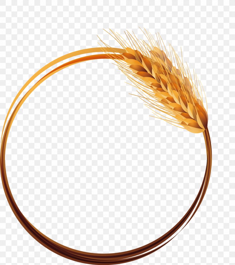 Wheat, PNG, 1288x1457px, Wheat, Commodity, Design Tool, Grass Family, Ifwe Download Free