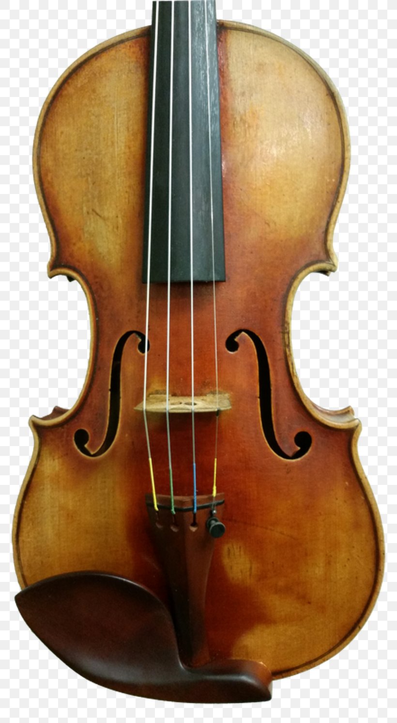 Bass Violin Violone Bowed String Instrument Cello, PNG, 772x1491px, Bass Violin, Acoustic Electric Guitar, Bow, Bowed String Instrument, Cello Download Free