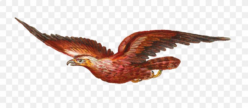 Bird Of Prey Owl Bald Eagle Clip Art, PNG, 1315x574px, Bird, Animal Figure, Bald Eagle, Beak, Bird Of Prey Download Free