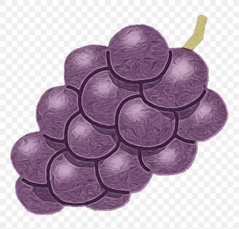 Grape Grapevine Family Purple Vitis Violet, PNG, 783x783px, Watercolor, Fruit, Grape, Grapevine Family, Paint Download Free