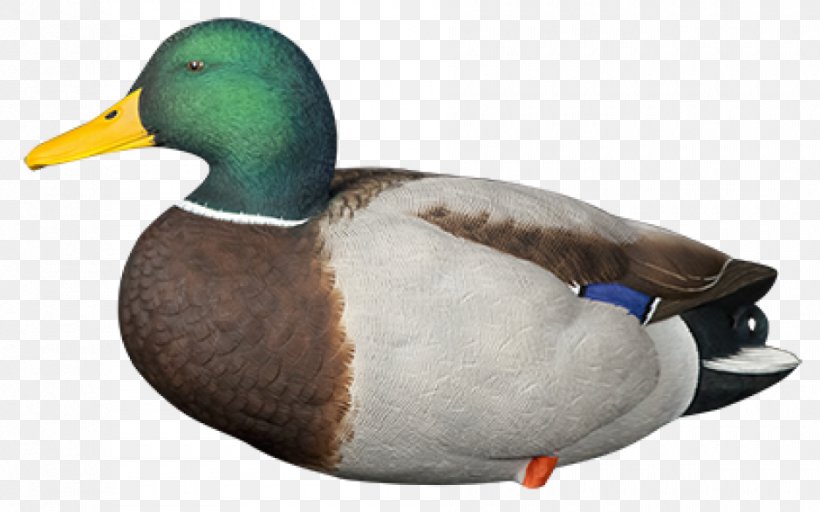 Mallard Duck Decoy Call Duck, PNG, 940x587px, Mallard, American Black Duck, Beak, Bird, Call Duck Download Free