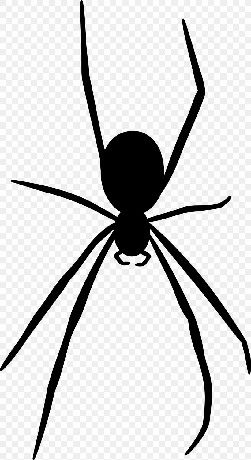 Spider Web Silhouette Clip Art, PNG, 1309x2400px, Spider, Arachnid, Arthropod, Artwork, Black And White Download Free