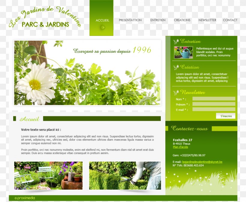 Herb Gardening: Grow Herbs For Healing And Cooking Flora Web Page Reference Work, PNG, 970x800px, Flora, Advertising, Brand, Brochure, Cooking Download Free