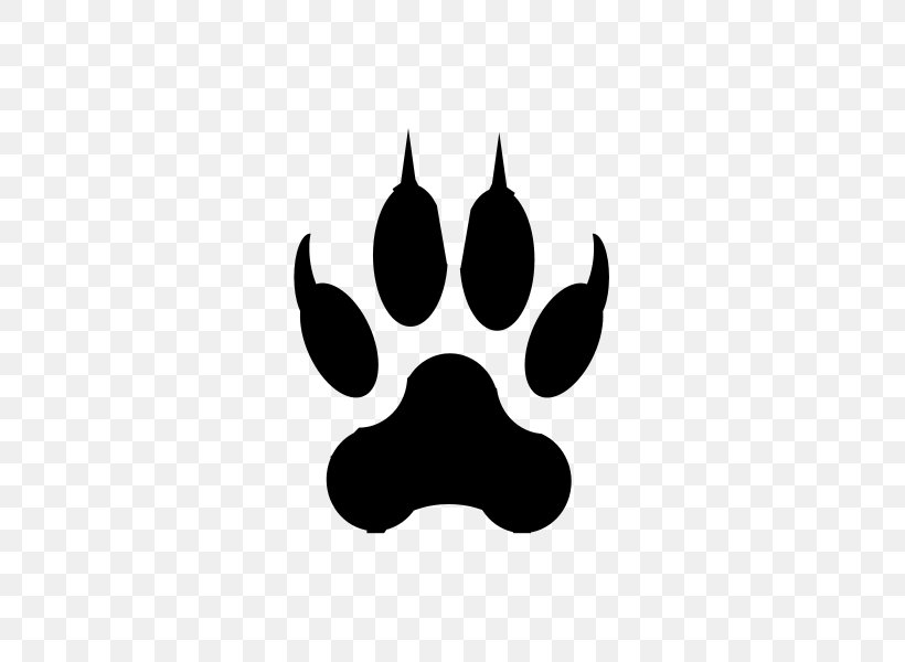 Lion Liger Tiger Cougar Cat, PNG, 463x600px, Lion, Animal, Animal Track, Big Cat, Black Download Free