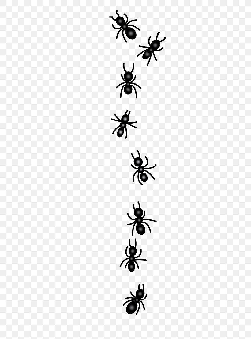 Clip Art Vector Graphics Ant Insect, PNG, 335x1106px, Ant, Black White M, Blackandwhite, Fly, Insect Download Free
