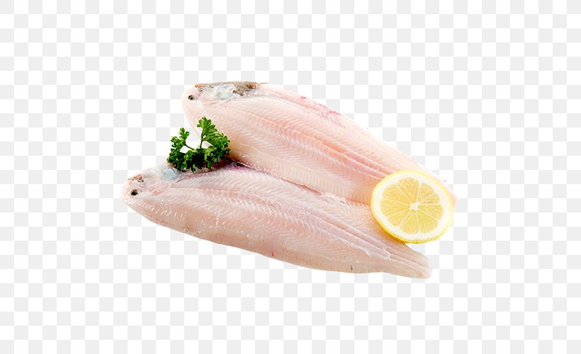 Fish Fillet Iridescent Shark Basa Fish Fillet, PNG, 500x500px, Fish, Animal Fat, Animal Source Foods, Basa, Common Sole Download Free