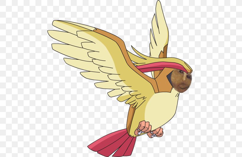Pokémon GO Pokémon Crystal Pidgeotto, PNG, 500x533px, Pidgeot, Ash Ketchum, Beak, Bird, Bird Of Prey Download Free