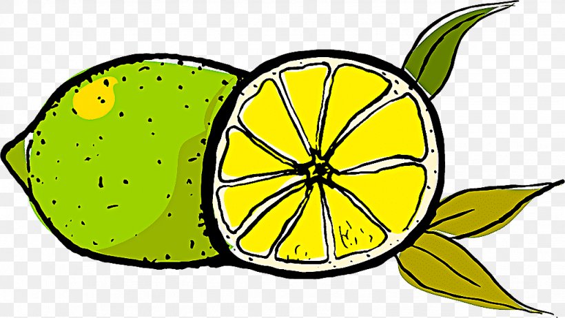 Citrus Yellow Lemon Leaf Clip Art, PNG, 1027x579px, Citrus, Fruit, Grapefruit, Leaf, Lemon Download Free