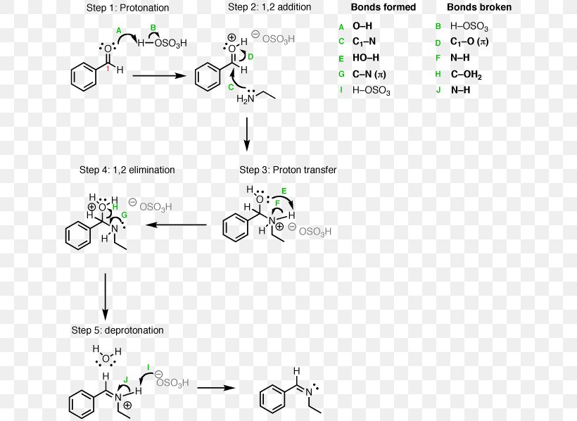 Reductive Amination Sodium Borohydride Imine Sodium Cyanoborohydride, PNG, 640x598px, Reductive Amination, Aldehyde, Amination, Amine, Area Download Free