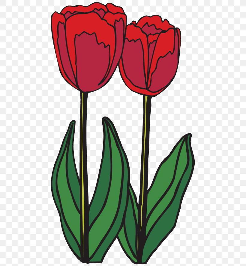 Tulip Ausmalbild Bulb Blume Plant Stem, PNG, 500x888px, Tulip, Animation, Ausmalbild, Blume, Bulb Download Free