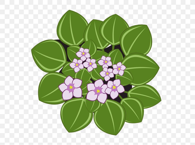 African Violets Clip Art, PNG, 600x610px, African Violets, Branch, Flower, Flowering Plant, Lilac Download Free