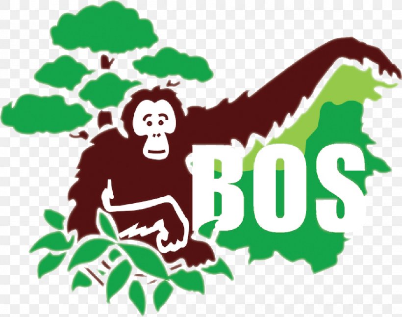 Borneo Orangutan Survival Bornean Orangutan Chimpanzee Samboja Lestari, PNG, 1147x905px, Borneo, Animal, Bornean Orangutan, Borneo Orangutan Survival, Chimpanzee Download Free
