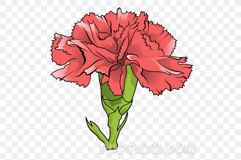 Carnation Floral Design Garden Roses Cut Flowers Clip Art, PNG, 544x544px, Carnation, Artwork, Cut Flowers, Dianthus, Flora Download Free