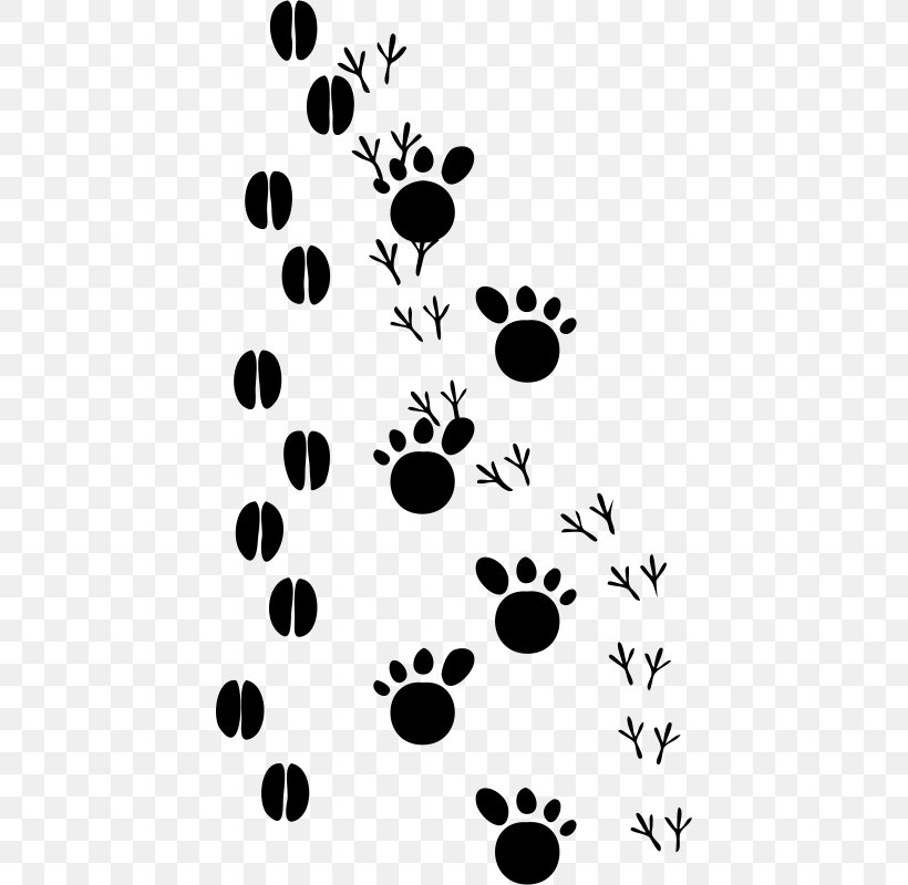Cat Dog Animal Track Footprint Clip Art, PNG, 430x800px, Cat, Animal, Animal Track, Bear, Black Download Free
