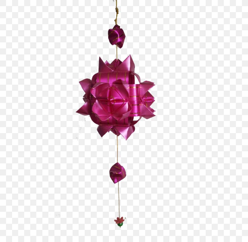 Garden Roses Cut Flowers Rosaceae, PNG, 600x800px, Rose, Christmas, Christmas Decoration, Christmas Ornament, Cut Flowers Download Free