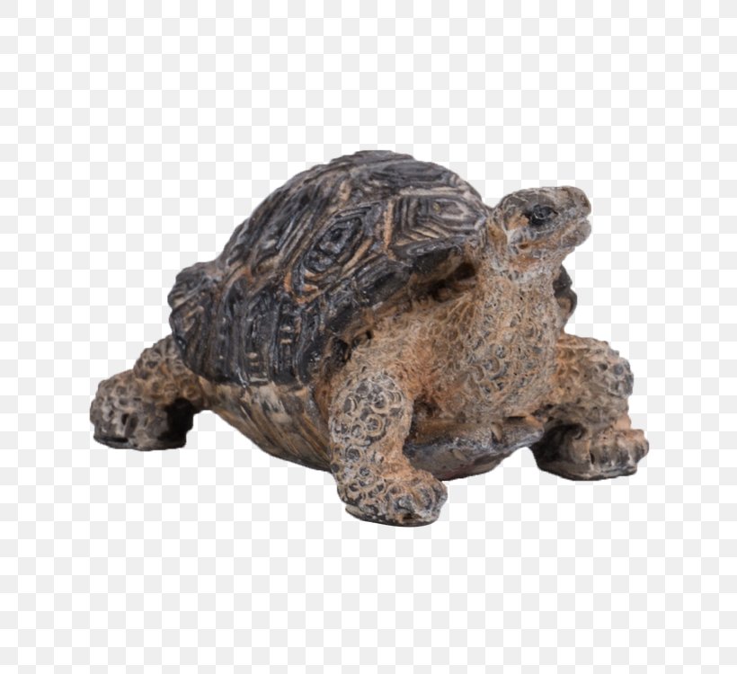 Miniature Pig Box Turtle Tortoise Reptile, PNG, 750x750px, Miniature Pig, Animal, Animal Figure, Box Turtle, Chelydridae Download Free