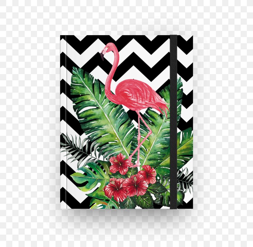 IPhone 8 Desktop Wallpaper Greater Flamingo Wallpaper, PNG, 800x800px, Iphone 8, Art, Canvas, Flamingos, Flora Download Free