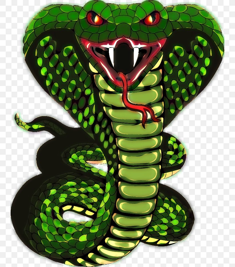 Snake Scale King Cobra Png 746x932px Snake Amphibian Animated Film