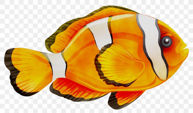 Vector Graphics Royalty-free Letter Illustration Image, PNG, 3310x1934px, Royaltyfree, Alphabet, Anemone Fish, Bonyfish, Butterflyfish Download Free