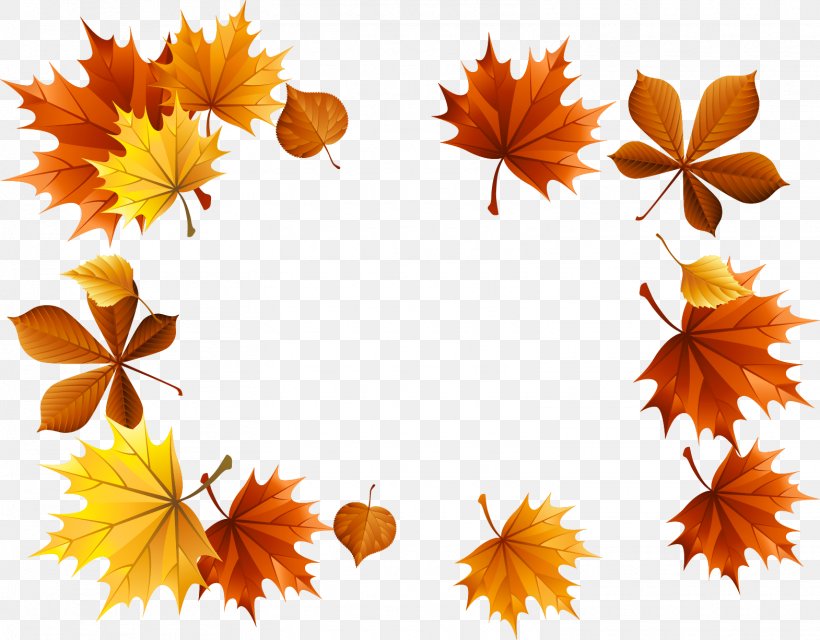 Autumn Leaf Clip Art, PNG, 1570x1227px, Autumn, Blackboard, Color, Drawing, Flower Download Free