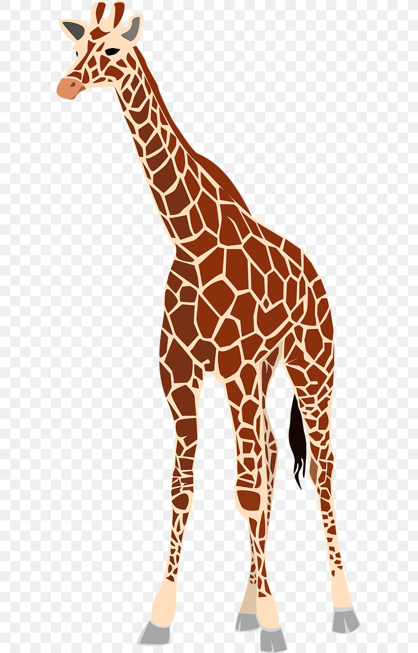 Giraffe Clip Art Vector Graphics Illustration, PNG, 640x1280px, Giraffe, Animal Figure, Baby Giraffe, Baby Giraffes, Drawing Download Free
