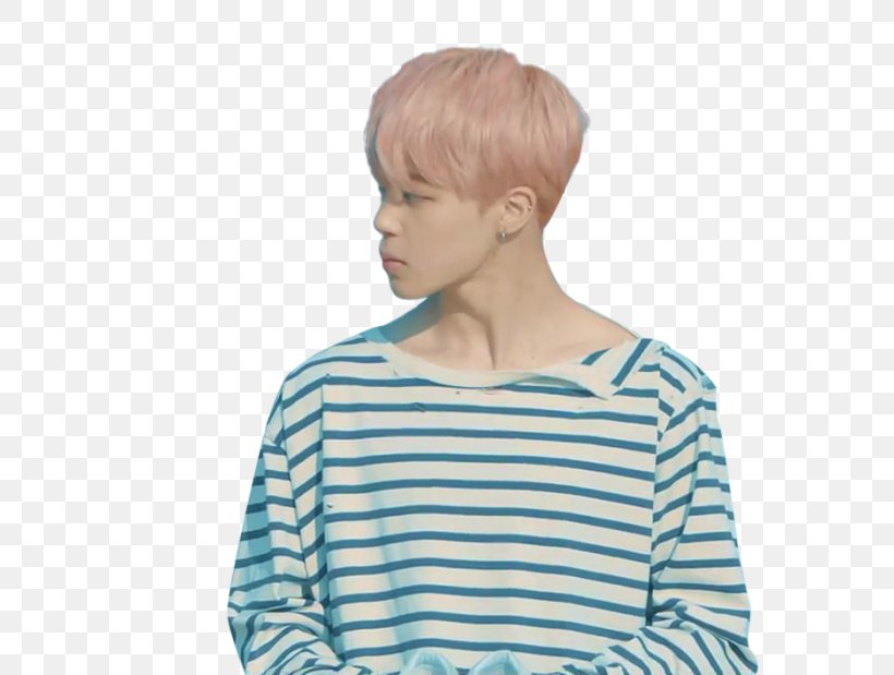 Jimin BTS Spring Day Wings KBS Song Festival, PNG, 700x619px, Watercolor, Cartoon, Flower, Frame, Heart Download Free