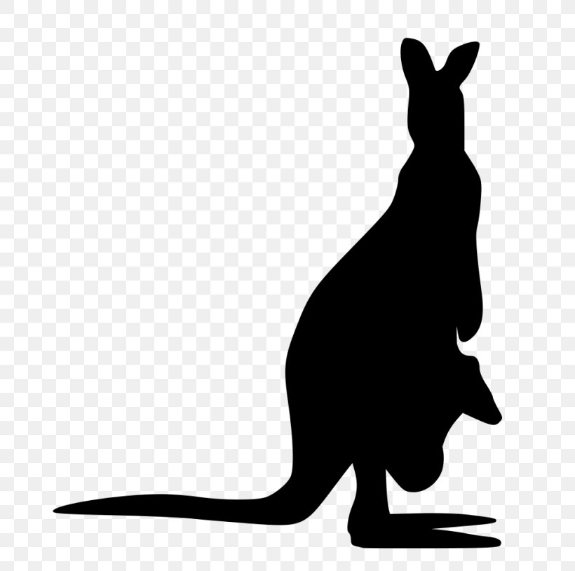 Kangaroo Cartoon, PNG, 700x814px, Kangaroo, Animal, Black, Blackandwhite, Drawing Download Free