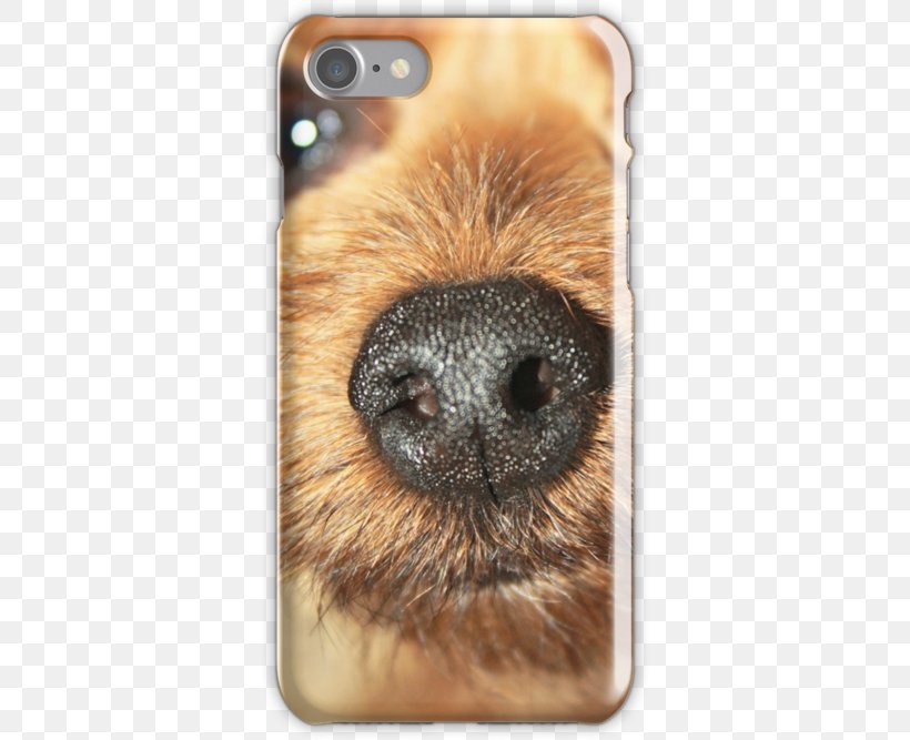 Nose Whiskers Telephone Samsung Galaxy Snout, PNG, 500x667px, Nose, Bag, Beaver, Close Up, Fauna Download Free