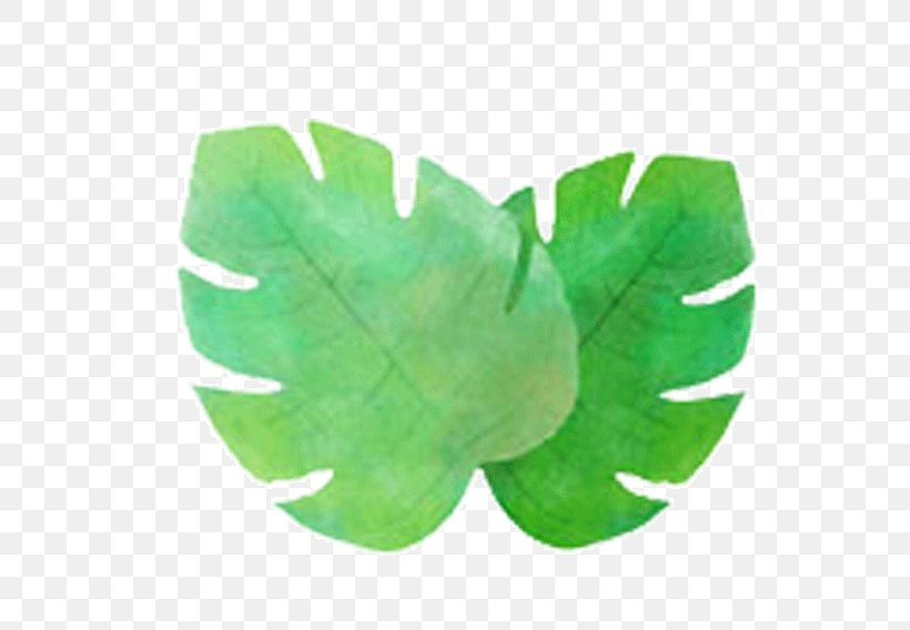 Plant Leaf Euclidean Vector Adobe Illustrator, PNG, 600x568px, Watercolor Painting, Art, Coreldraw, Green, Leaf Download Free
