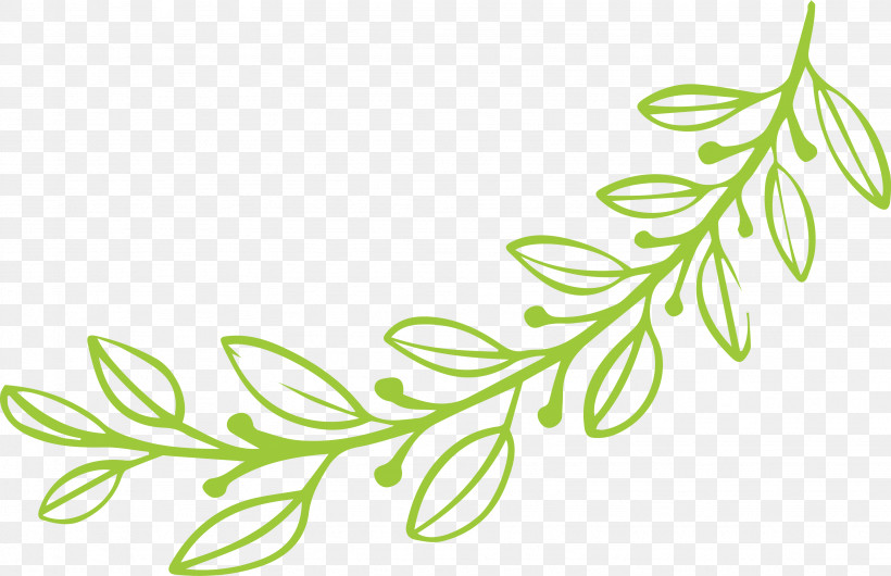 Simple Leaf Simple Leaf Drawing Simple Leaf Outline, PNG, 3277x2121px, Simple Leaf, Biology, Branch, Flower, Grasses Download Free