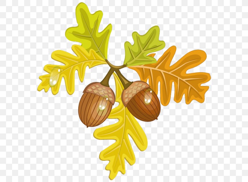 Autumn Acorn Clip Art, PNG, 585x600px, Autumn, Acorn, Art, Autumn Leaf Color, Commodity Download Free