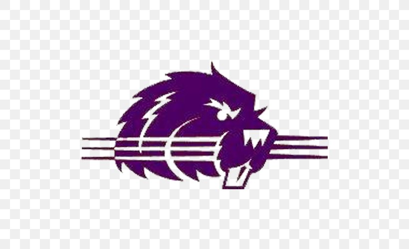 Bluffton University Bluffton Beavers Football Transylvania University Heartland Collegiate Athletic Conference, PNG, 500x500px, Bluffton University, American Football, Bluffton, Bluffton Beavers Football, Coach Download Free