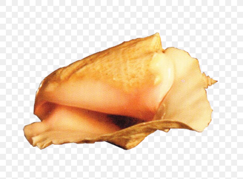 Conch Download Computer File, PNG, 675x605px, Conch, Digital Image, Food, French Fries, Image File Formats Download Free