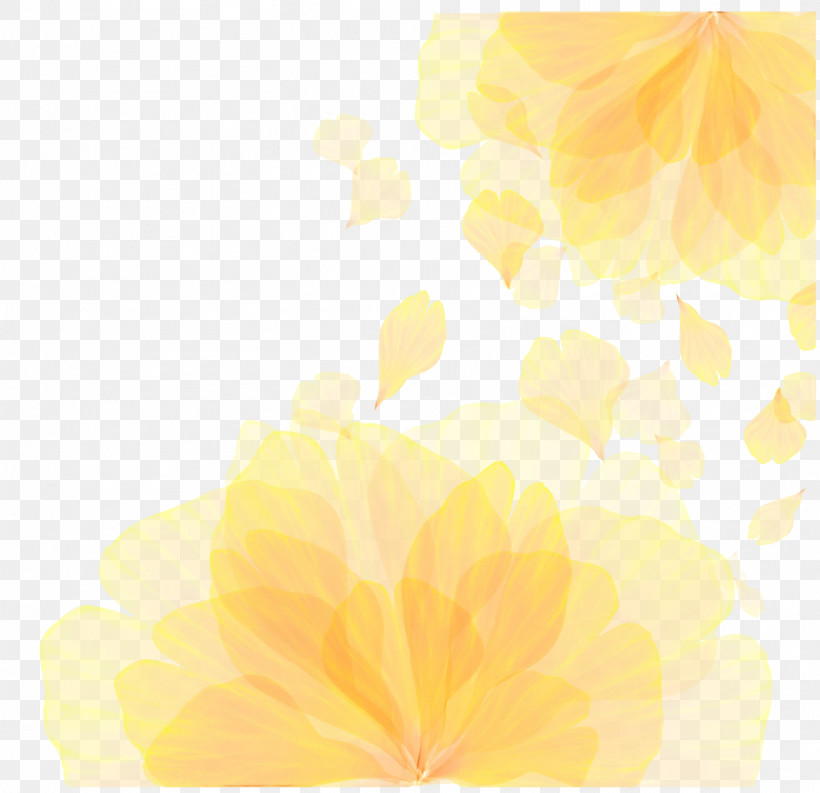 Flower Petal Leaf Yellow Sunlight, PNG, 1457x1410px, Watercolor, Biology, Computer, Flower, Leaf Download Free