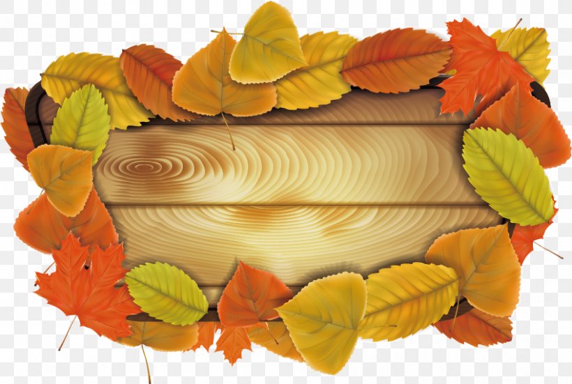 Autumn Leaf Illustration, PNG, 848x570px, Autumn, Autumn Leaf Color, Leaf, Maple, Orange Download Free