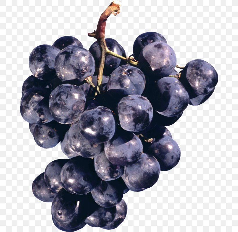 Common Grape Vine Concord Grape Sultana Juice, PNG, 684x800px, Common Grape Vine, Amazon Grape, Berry, Bilberry, Blueberry Download Free