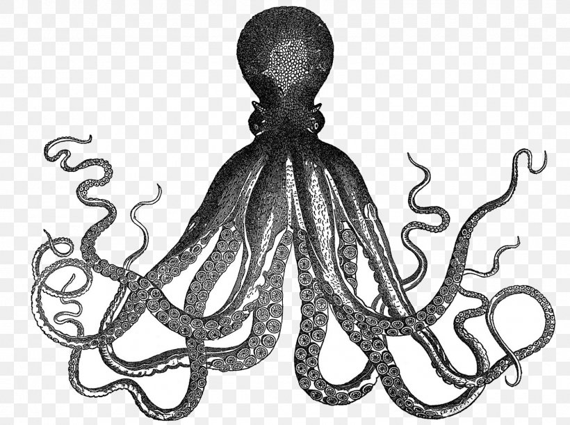 Octopus Kraken Etsy Clip Art, PNG, 1600x1193px, Octopus, Black And White, Callistoctopus Macropus, Cephalopod, Craft Download Free