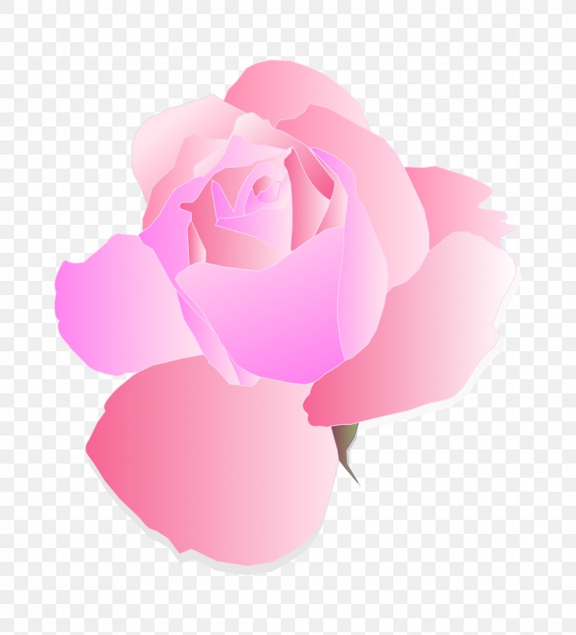 Rose Pink Free Clip Art, PNG, 2175x2400px, Rose, Flower, Flowering Plant, Free, Garden Roses Download Free