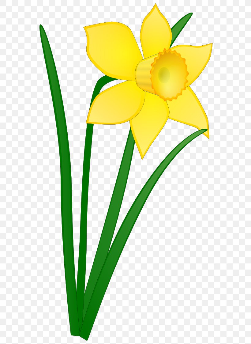 Daffodil Free Content Clip Art, PNG, 600x1123px, Daffodil, Amaryllis Family, Artwork, Blog, Cut Flowers Download Free