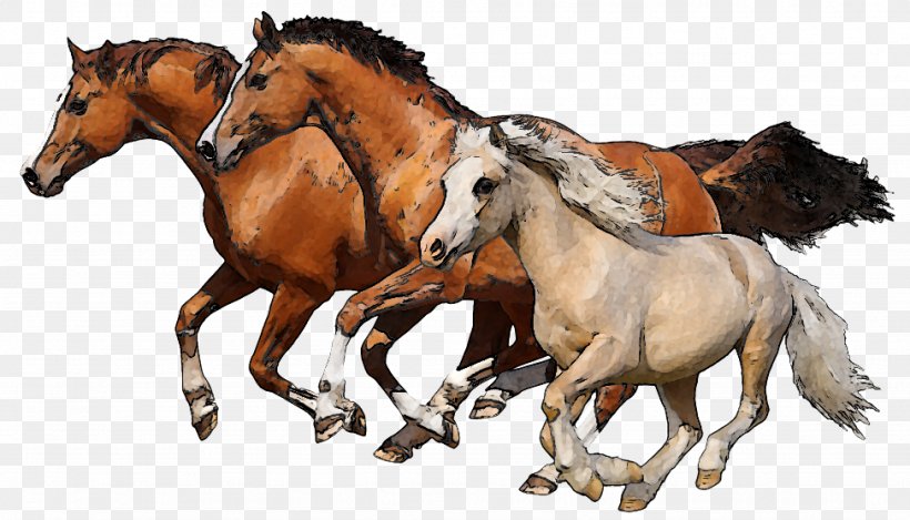 Horse Foal Colt Clip Art, PNG, 974x558px, Horse, Cartoon, Collection, Colt, Equestrianism Download Free