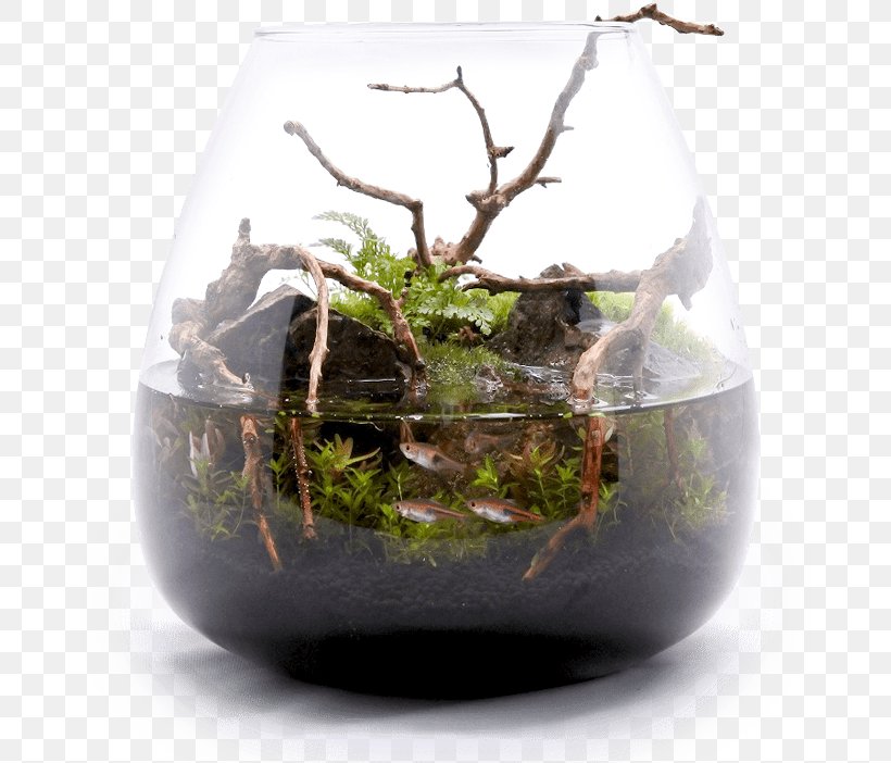 Houseplant 苔(コケ)のインテリア コケリウム Akwaterrarium, PNG, 672x702px, Houseplant, Akwaterrarium, Container, Flowerpot, Glass Download Free