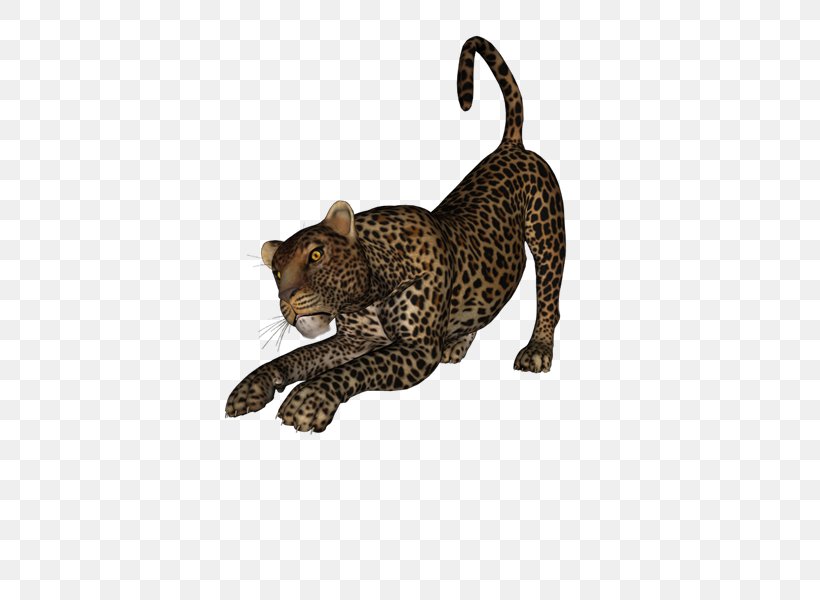Leopard Cheetah Cougar Tiger Animal, PNG, 800x600px, Leopard, Animal, Animal Figure, Big Cat, Big Cats Download Free