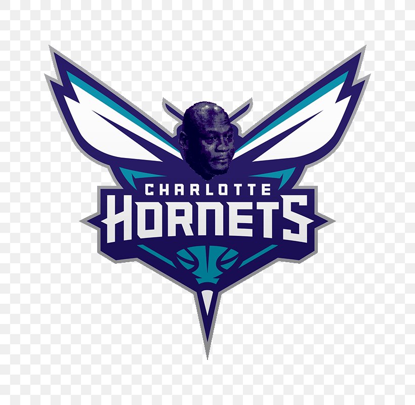 Charlotte Hornets NBA New Orleans Pelicans Orlando Magic Indiana Pacers, PNG, 800x800px, Charlotte Hornets, Allnba Team, Basketball, Brand, Dallas Mavericks Download Free