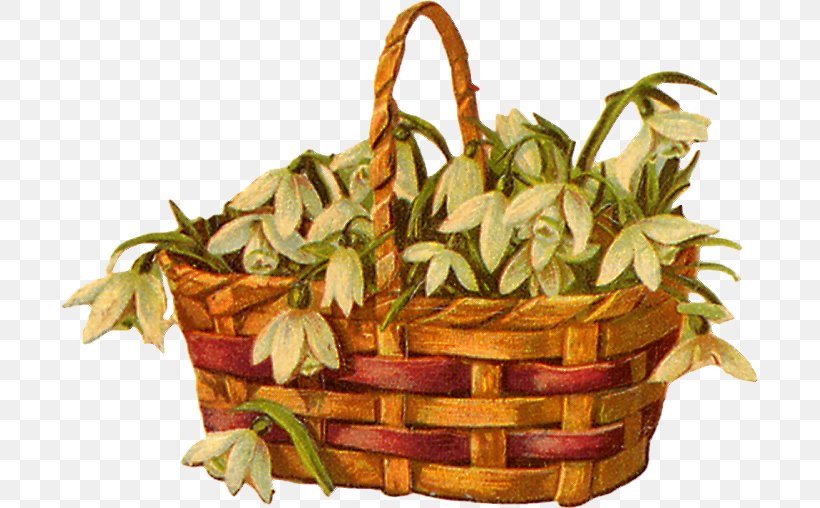 Genealogy Your Family Tree Food Gift Baskets Rhode Island, PNG, 697x508px, Genealogy, Basket, Commodity, Family, Flowerpot Download Free