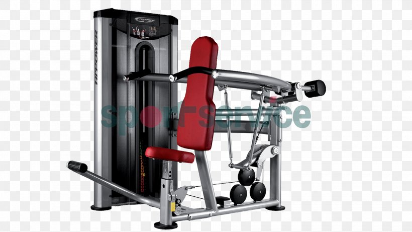 Overhead Press Strength Training Fitness Centre Biceps Curl Chin-up, PNG, 1920x1080px, Overhead Press, Bench, Bench Press, Biceps Curl, Chinup Download Free